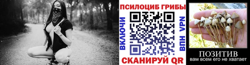 Галлюциногенные грибы прущие грибы Спасск