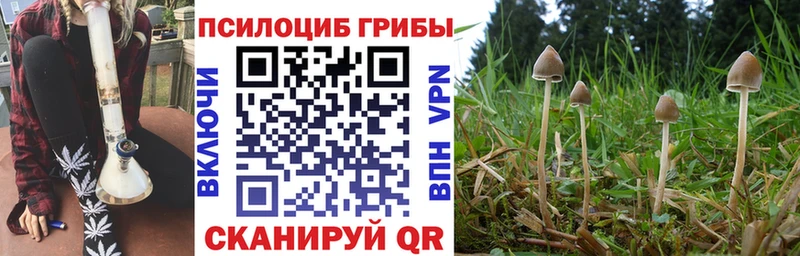 Галлюциногенные грибы мухоморы Спасск