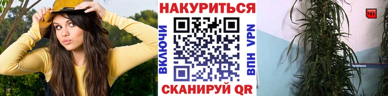 Бошки Шишки индика  Спасск 